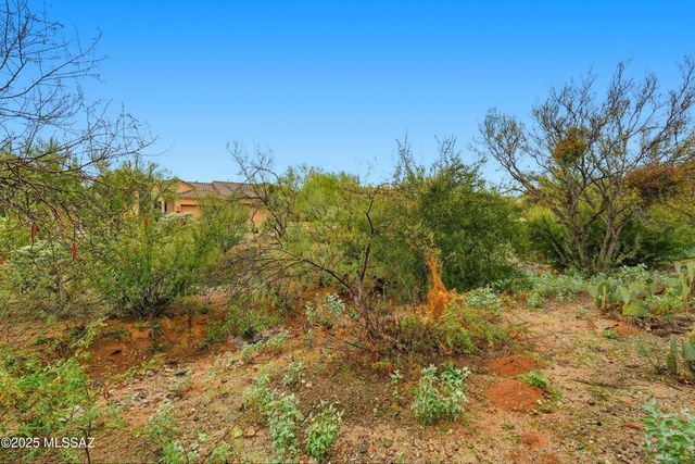 13401 N Rancho Vistoso Blvd Unit 270, Oro Valley, AZ 85755