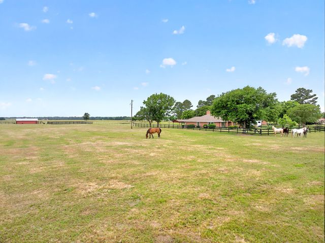 1401 Vz County Road 3411, Wills Point, TX 75169