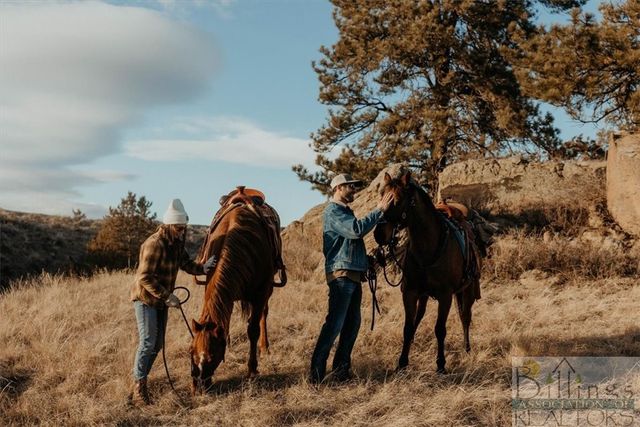 Lot 3 Block 1 W Montrose ROAD, Billings, MT 59106