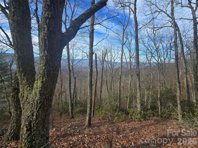 0000 Black Mountain Road 52, Cullowhee, NC 28723