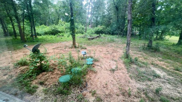 2485 Mangum Road, Livingston, TX 77351