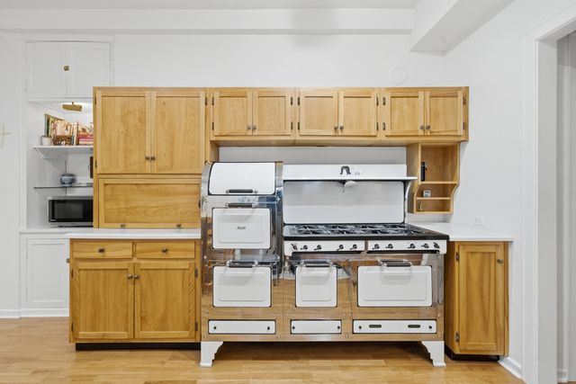 232 E Walton Place 3E, Chicago, IL 60611