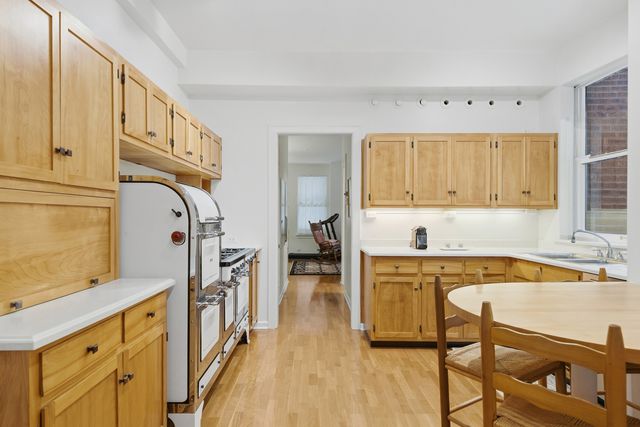 232 E Walton Place 3E, Chicago, IL 60611