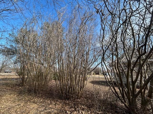 TBD .81 AC Wallace Street, Whitewright, TX 75491