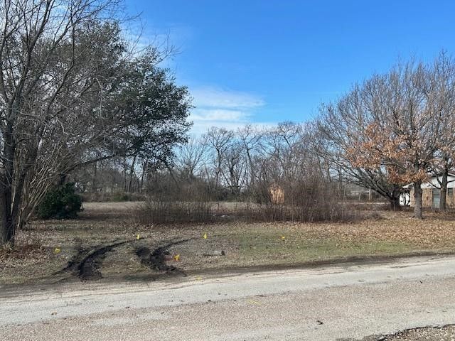 TBD .81 AC Wallace Street, Whitewright, TX 75491