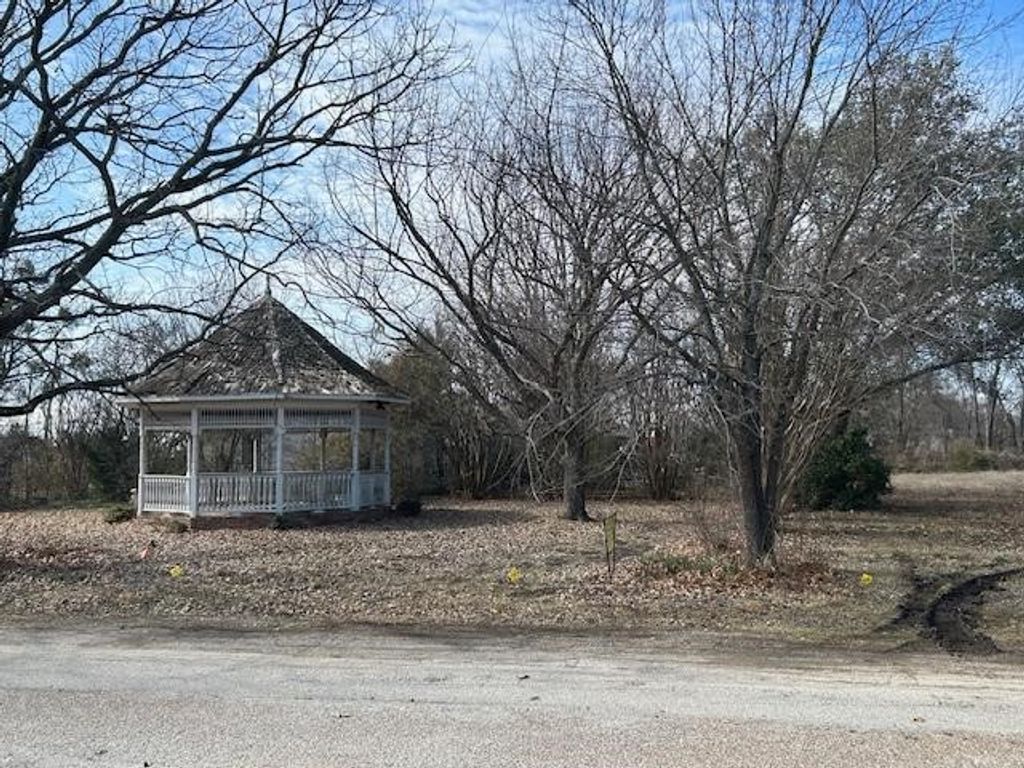 TBD .81 AC Wallace Street, Whitewright, TX 75491