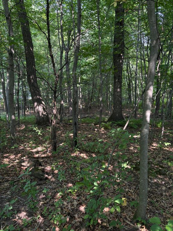 TBD 366th Street, North Branch, MN 55056 — exterior