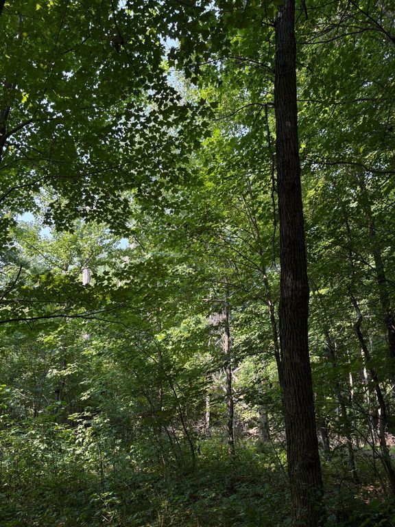 TBD 366th Street, North Branch, MN 55056 — photo 2