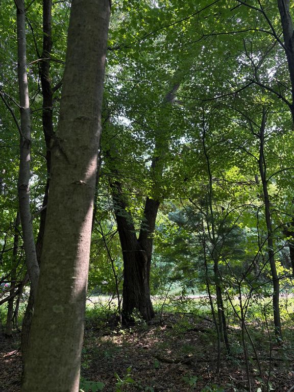 TBD 366th Street, North Branch, MN 55056 — photo 3