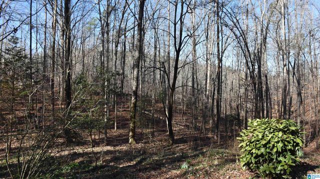 702 OLD ROCKFORD ROAD, Sylacauga, AL 35150