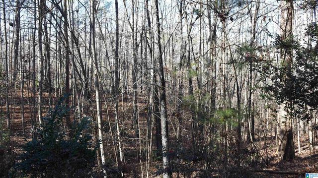 702 OLD ROCKFORD ROAD, Sylacauga, AL 35150