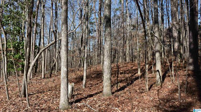 702 OLD ROCKFORD ROAD, Sylacauga, AL 35150