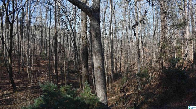 702 OLD ROCKFORD ROAD, Sylacauga, AL 35150