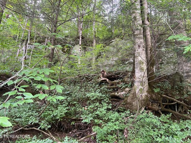 Boatland Rd, Jamestown, TN 38556