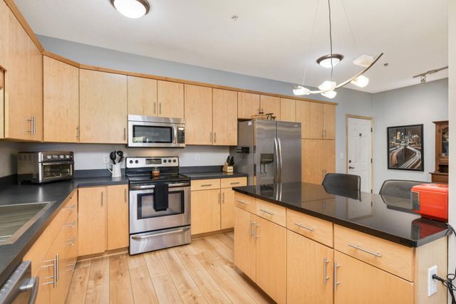 301 Oak Grove Street 205, Minneapolis, MN 55403