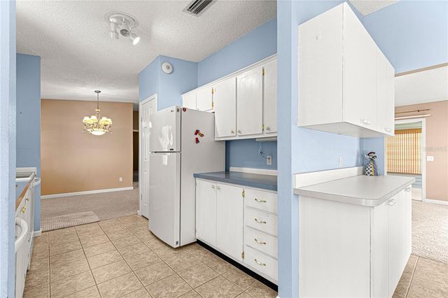 729 AGUA WAY, The Villages, FL 32159