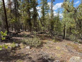 105 Parry Peak Drive, Twin Lakes, CO 81251