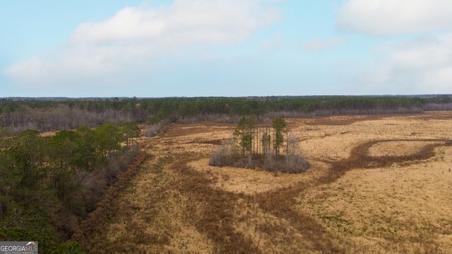 418 Oglesby Pond Lane, Portal, GA 30450