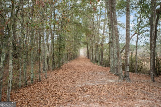 418 Oglesby Pond Lane, Portal, GA 30450