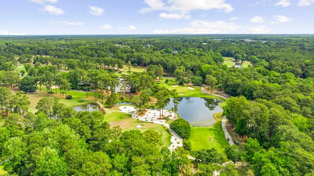 765 Ricegrass Pl., Little River, SC 29566