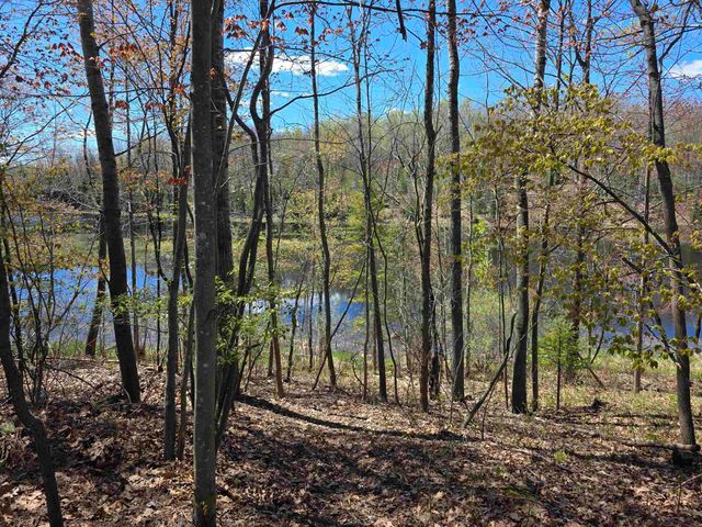 4890 Lakeview Drive, Hale, MI 48739