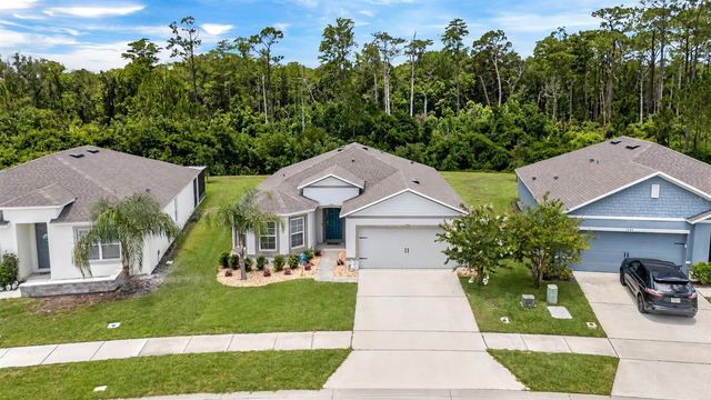 3241 CARPENTARIA DRIVE, New Smyrna Beach, FL 32168