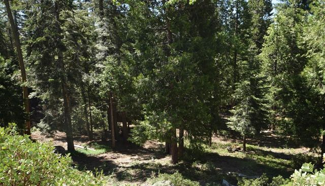 42506 Opal Lane Lot68, Shaver Lake, CA 93664