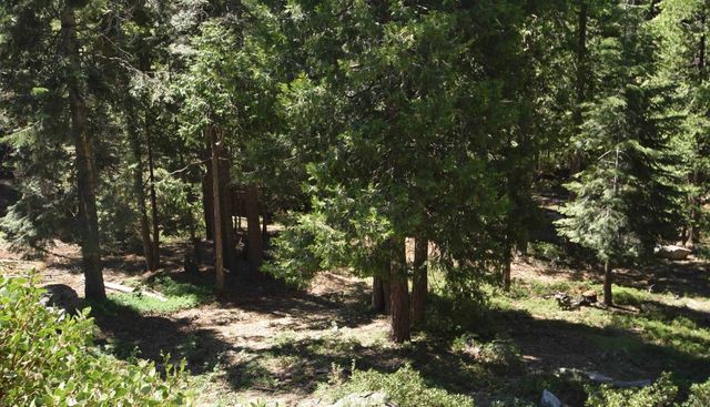 42506 Opal Lane Lot68, Shaver Lake, CA 93664