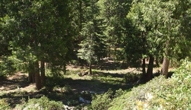 42506 Opal Lane Lot68, Shaver Lake, CA 93664