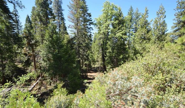 42506 Opal Lane Lot68, Shaver Lake, CA 93664