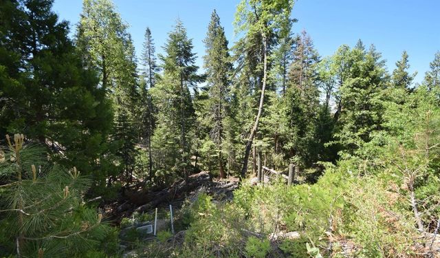 42506 Opal Lane Lot68, Shaver Lake, CA 93664