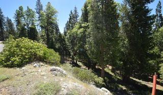 42506 Opal Lane Lot68, Shaver Lake, CA 93664
