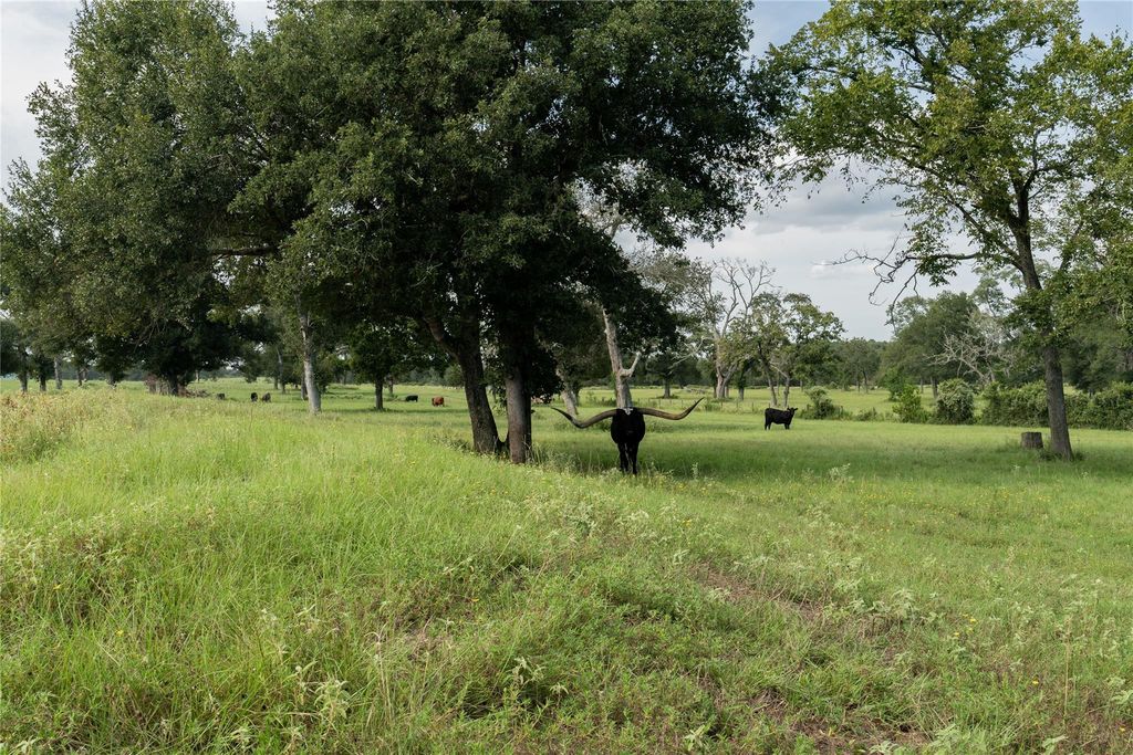 000 Aztec Lane, New Ulm, TX 78950