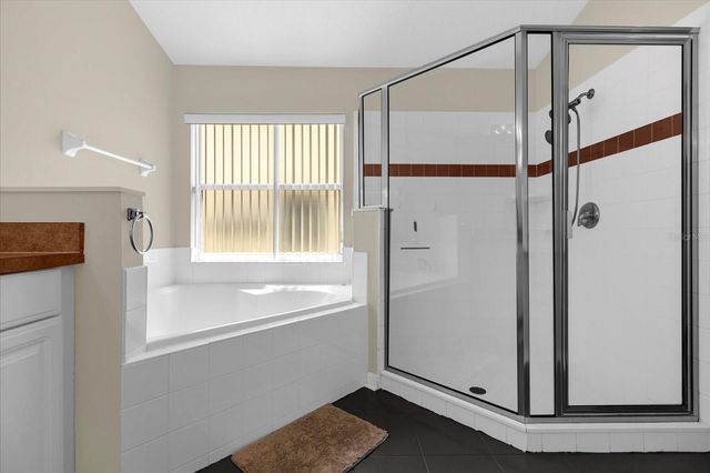 1224 WINDING WILLOW COURT, Kissimmee, FL 34746