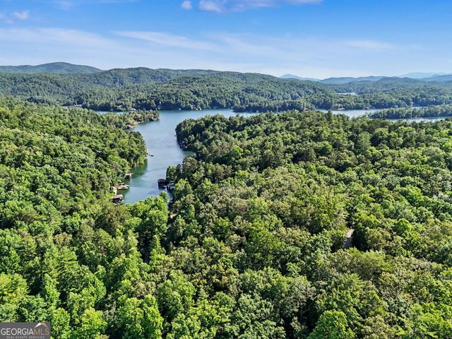 276 Fulton Road, Tiger, GA 30576