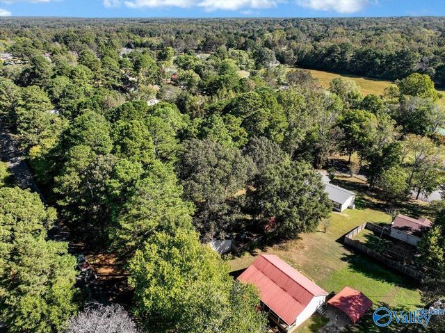 207 Walker Drive SW, Arab, AL 35016