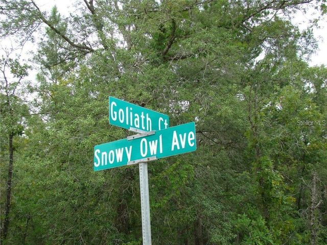 0 GOLIATH COURT, Weeki Wachee, FL 34614