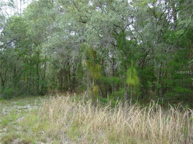 0 GOLIATH COURT, Weeki Wachee, FL 34614