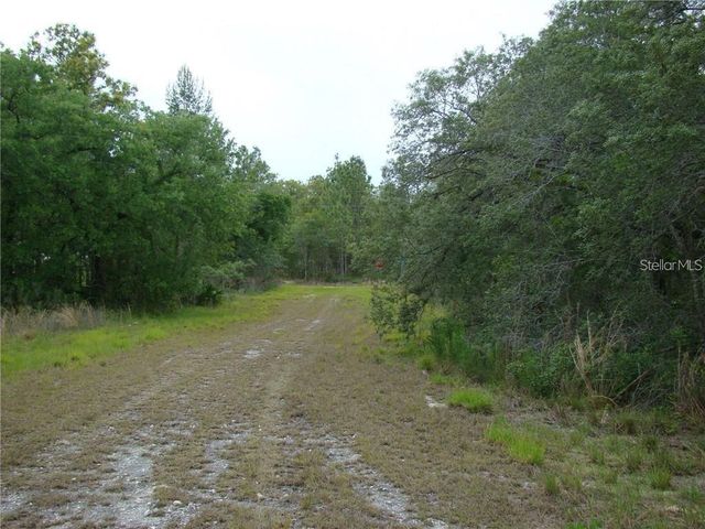 0 GOLIATH COURT, Weeki Wachee, FL 34614