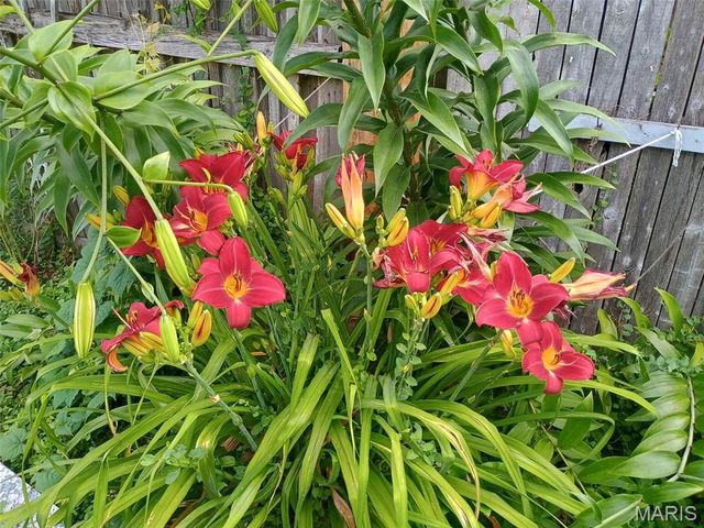 407 Edwards Street, Festus, MO 63028