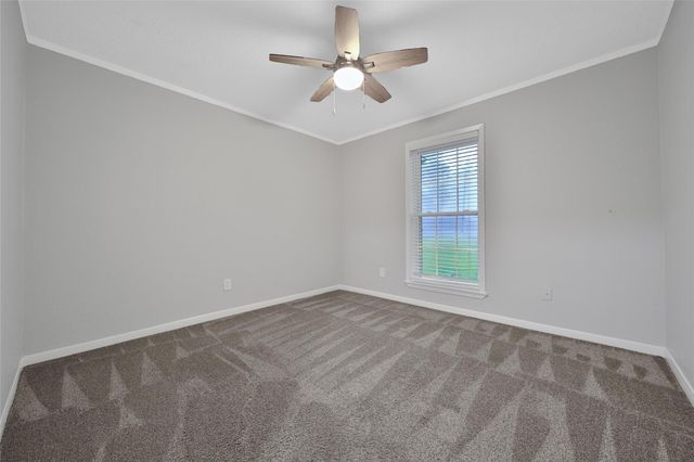 24260 Kelly Street, Porter, TX 77365