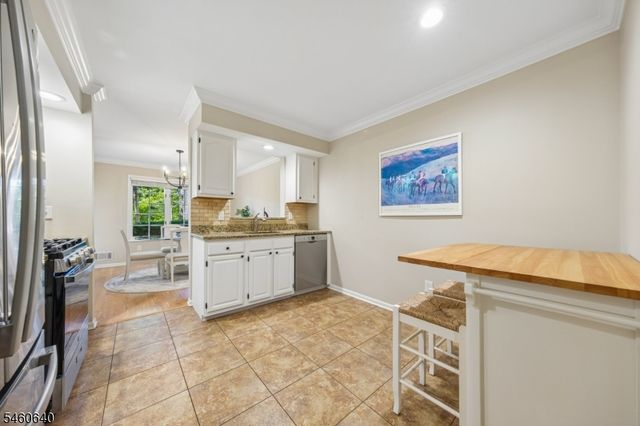 163 Terrace Dr, Chatham Twp., NJ 07928