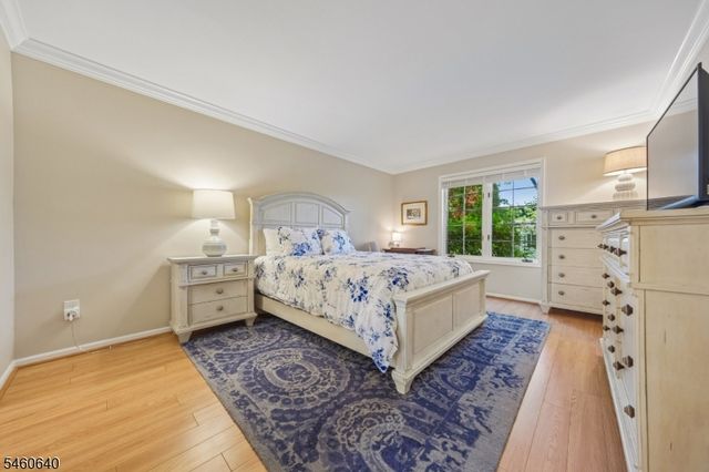 163 Terrace Dr, Chatham Twp., NJ 07928