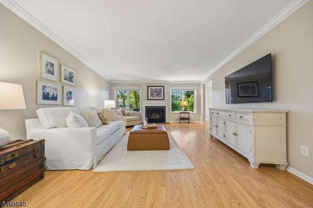 163 Terrace Dr, Chatham Twp., NJ 07928