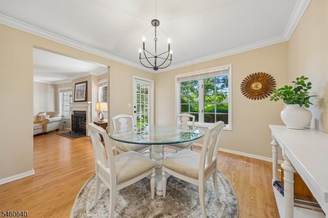 163 Terrace Dr, Chatham Twp., NJ 07928