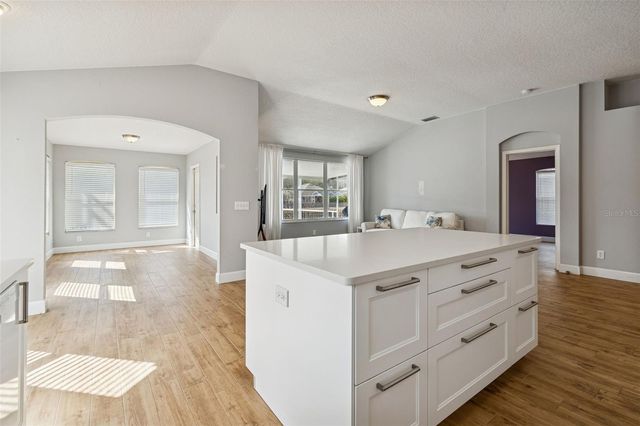 19427 MORDEN BLUSH DRIVE, Lutz, FL 33558