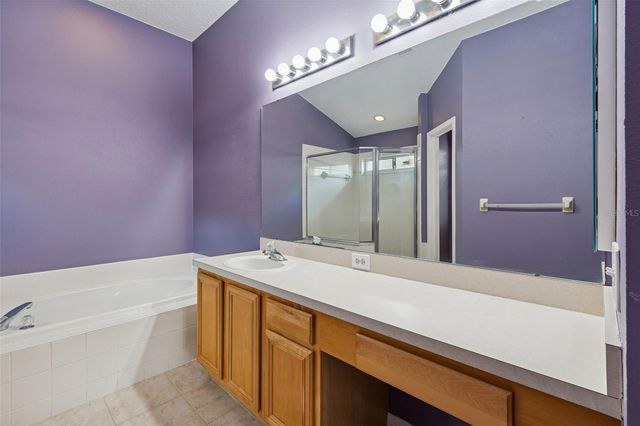 19427 MORDEN BLUSH DRIVE, Lutz, FL 33558