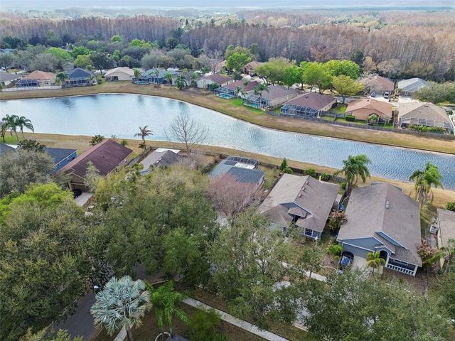 19427 MORDEN BLUSH DRIVE, Lutz, FL 33558