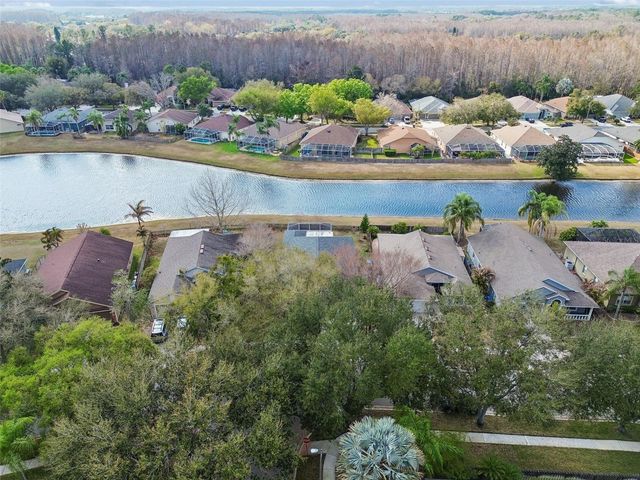 19427 MORDEN BLUSH DRIVE, Lutz, FL 33558