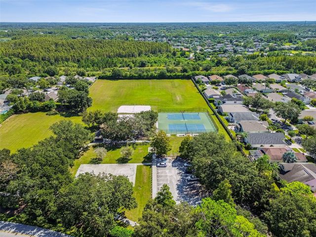 19427 MORDEN BLUSH DRIVE, Lutz, FL 33558